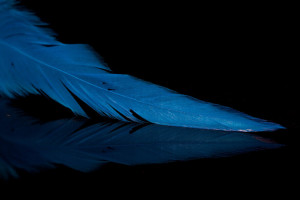 A.Jensen Schlappen Feathers - blue